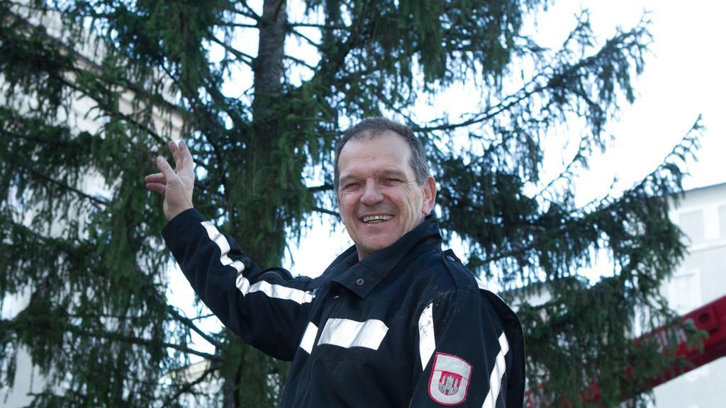 Neuer Baum steht