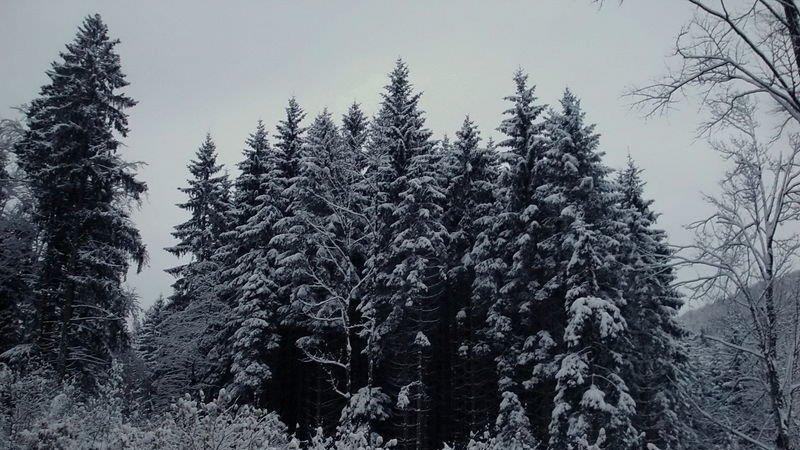 Winter in Ebenau