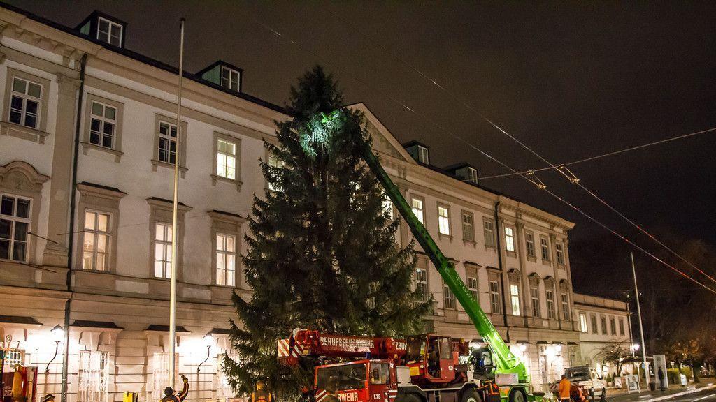 Christbaumaufstellen vor dem Schloss Mirabell