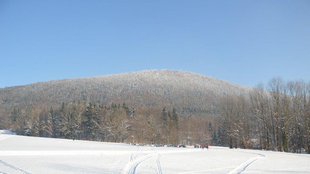 Winterspaziergang am Gaisberg