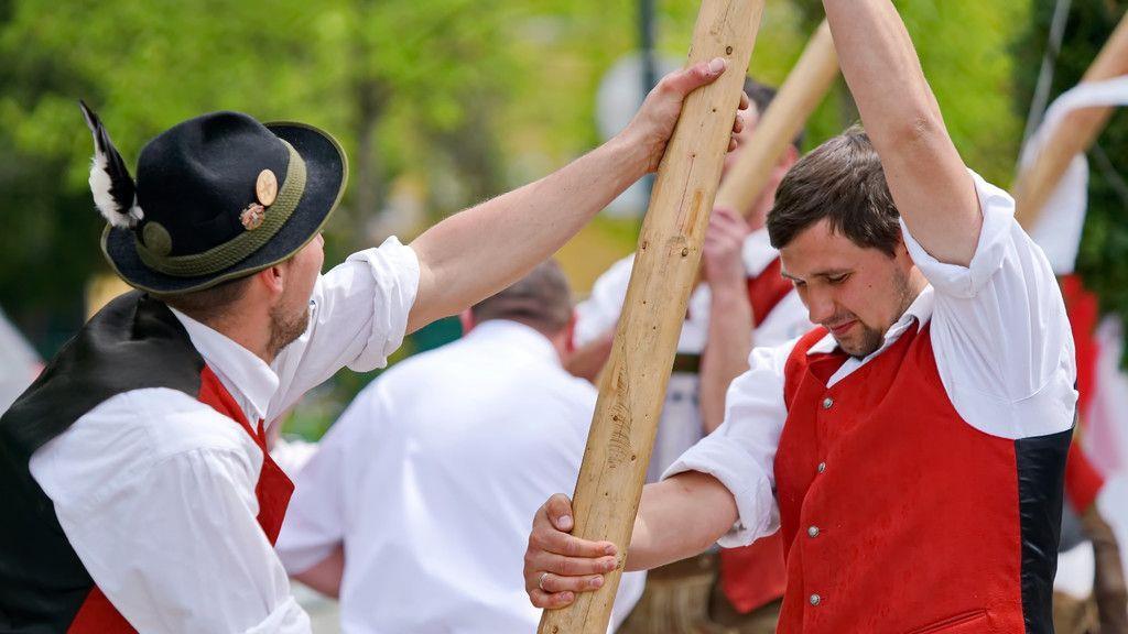 Maibaumaufstellen in Leopoldskron