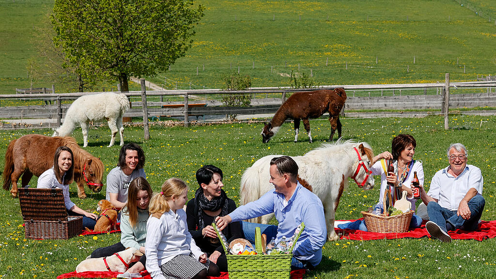 Foto 2 - Picknick.jpg