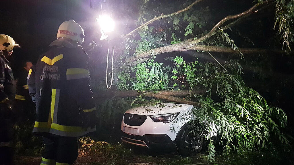 Zahlreiche Bäume knickten um