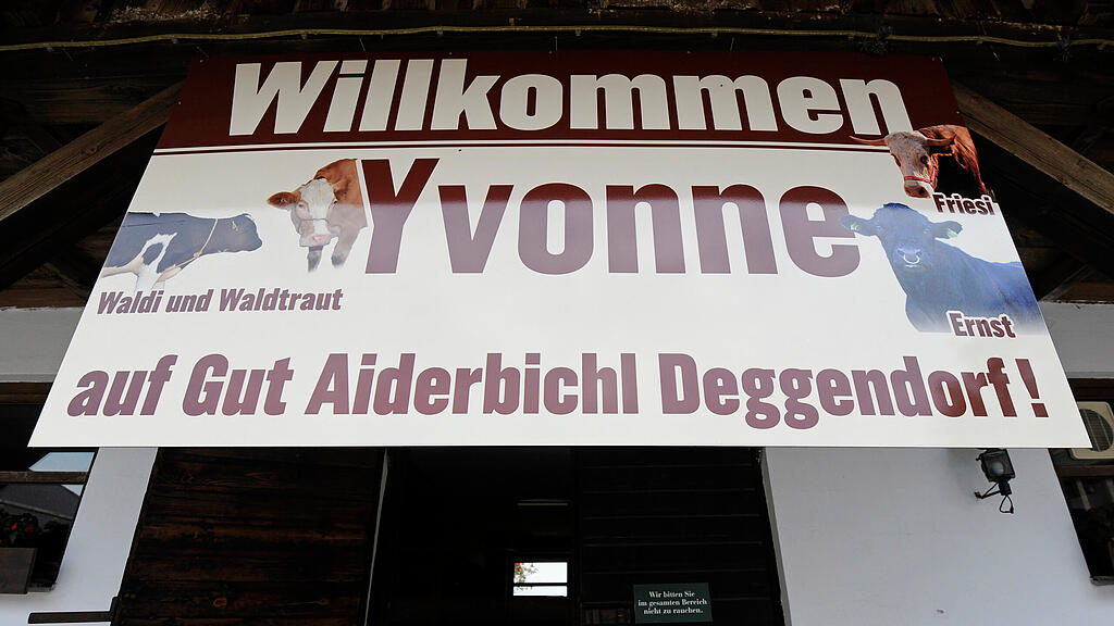 Ivonne, der Medienstar