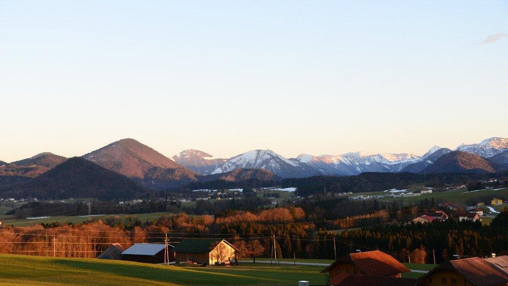 Frühlingserwachen im Flachgau