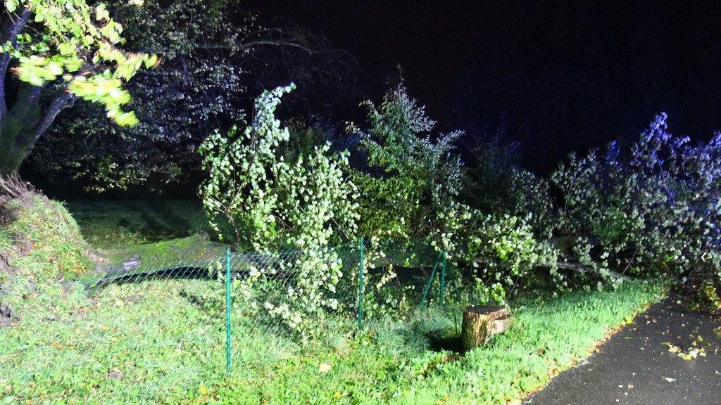 Sturm über Salzburg: Umgestürzter Baum in Anif