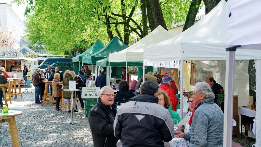 Impressionen vom Winzermarkt
