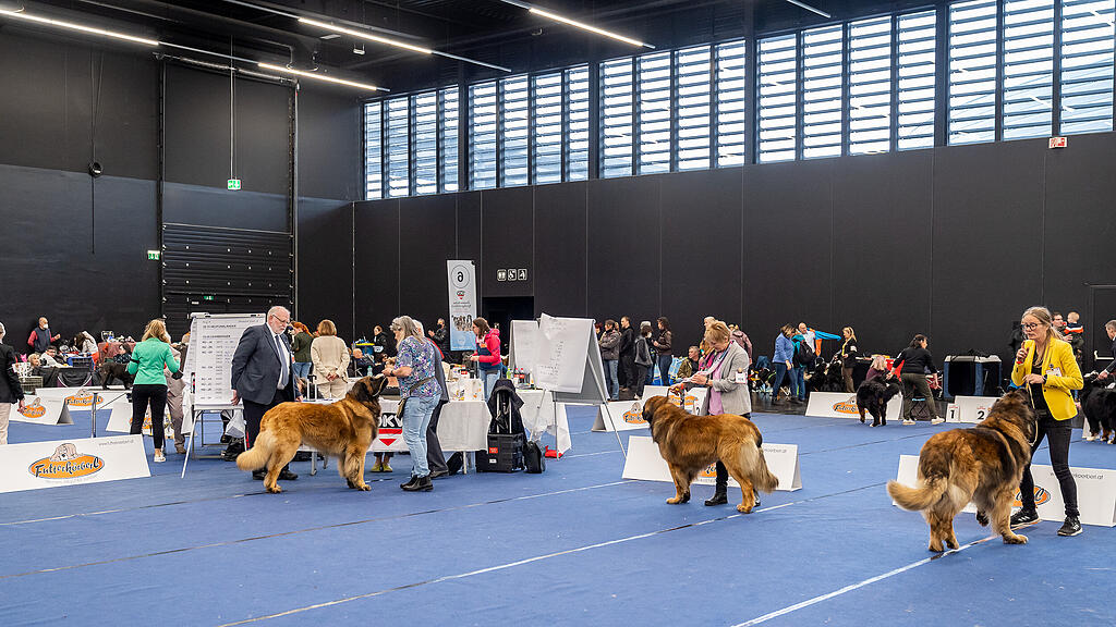Internationale Hundeausstellung Salzburg 2022