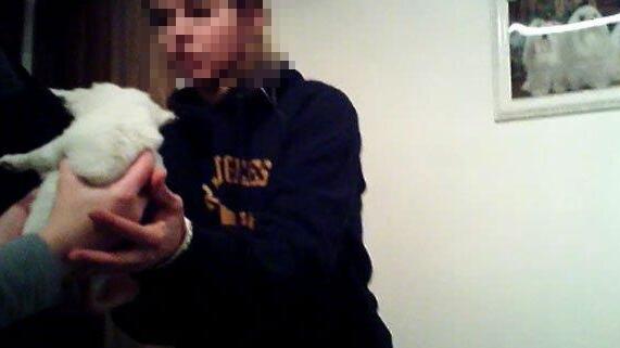 Welpen aus Wien-Donaustadt: Überlebenschancen sind gering