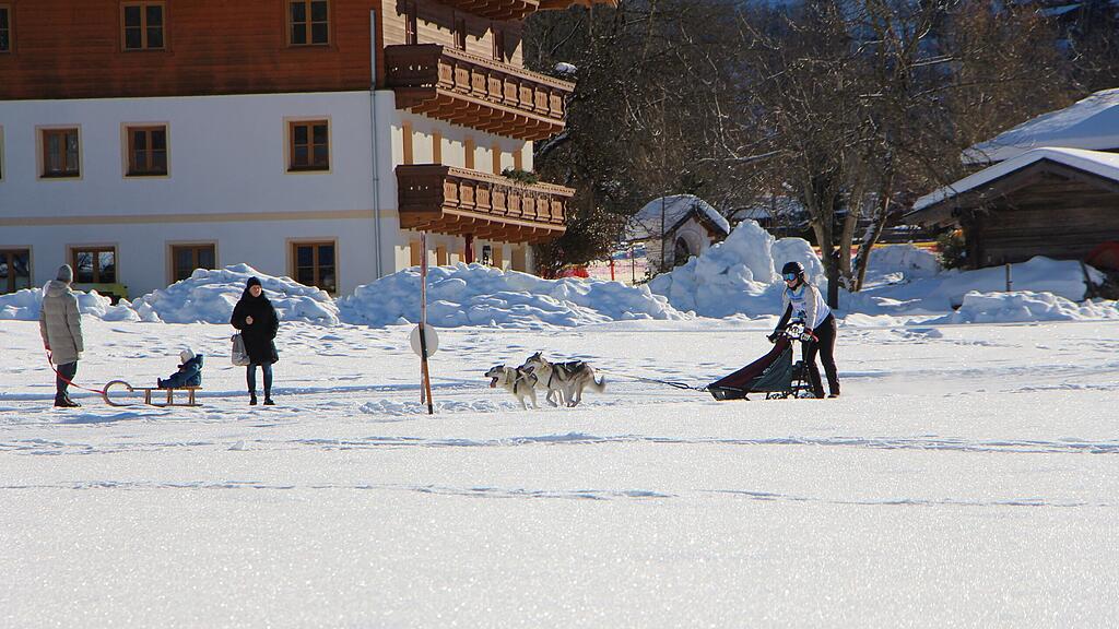 26. Schlittenhunderennen