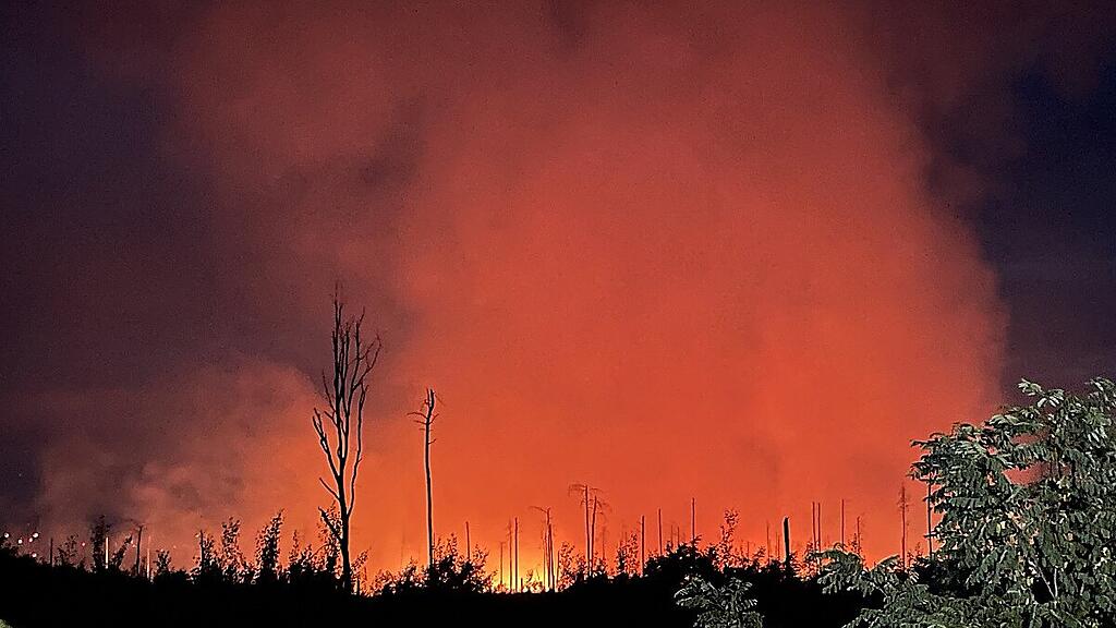 Flammen wüteten mehrere Tage lang in Waldstück südwestlich von Berlin