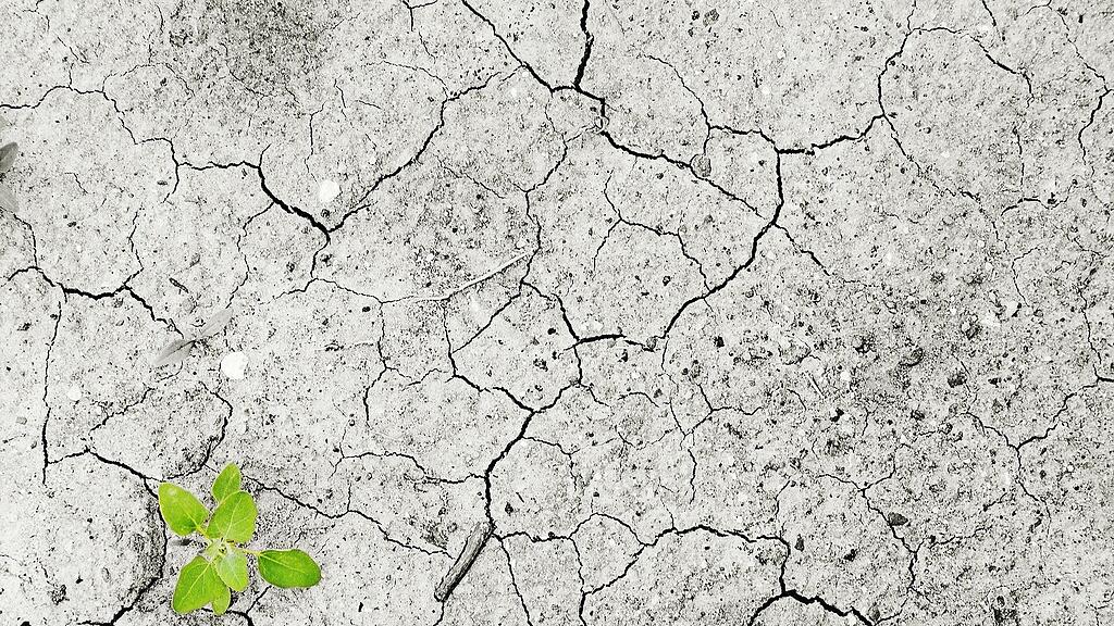 climate-change-g635ccb5e5_1920.jpg