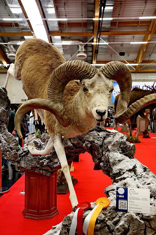 Hohe Jagd und Fischerei: FR