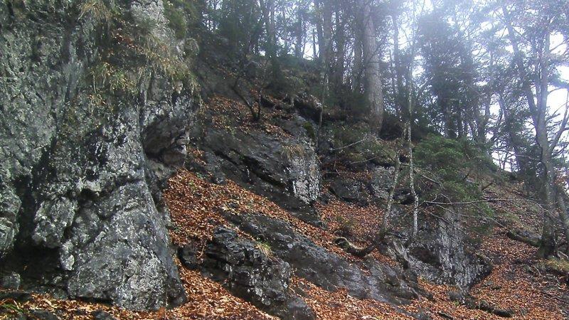 Bilder der Absturzstelle