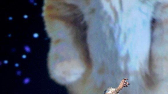 American Music Awards 2013: Show