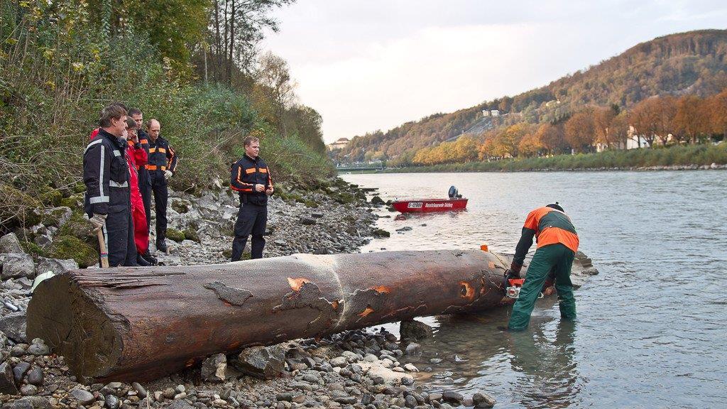 Berufsfeuerwehr barg Riesen-Baumstamm