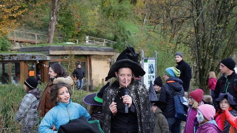 Halloween im Zoo
