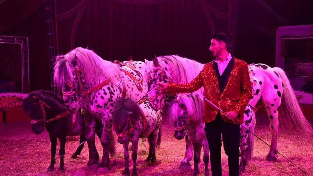 Salzburger Weihnachtscircus