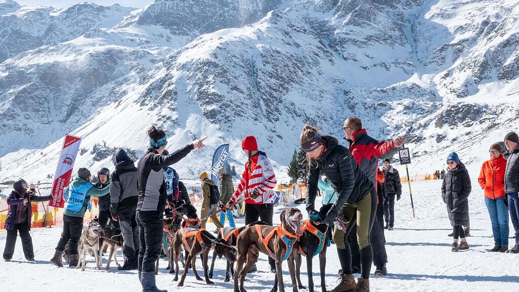 Schlittenhunderennen in Sportgastein