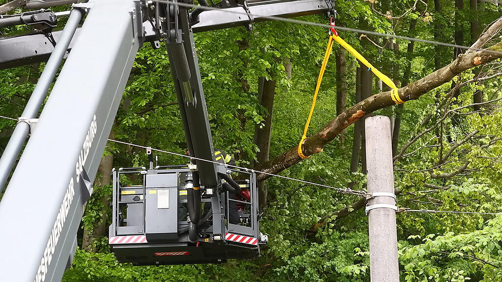 Baum fällt auf Stromleitung