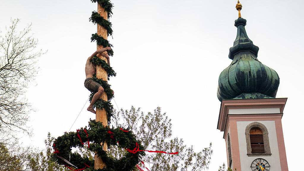Maibaumaufstellen in Aigen