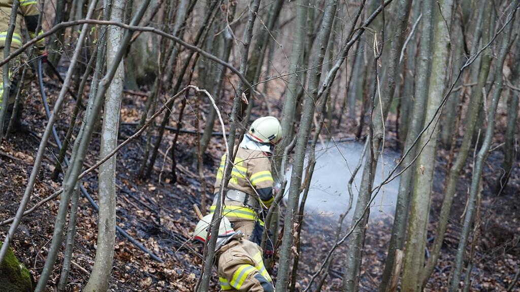 Flurbrand in Hallwang-Mayrwies