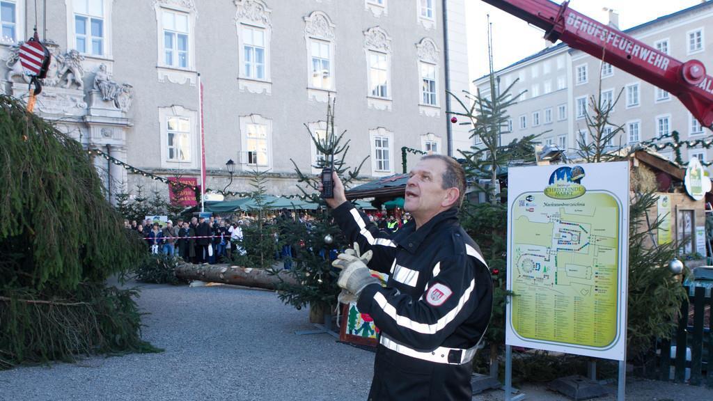 Neuer Baum steht
