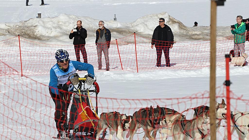 Schlittenhunderennen