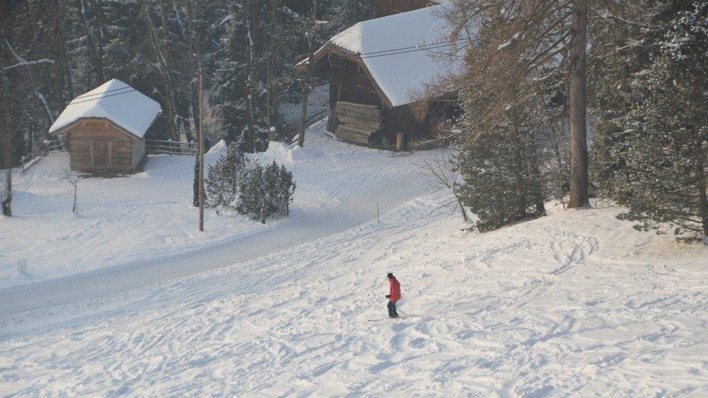 Winterspaziergang am Gaisberg