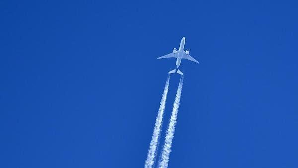 Das Flugzeug könnte abgeschossen worden sein.