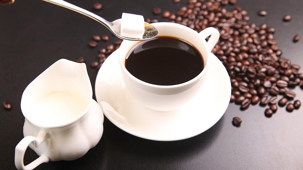 SB: Kaffee, Kaffeebohne