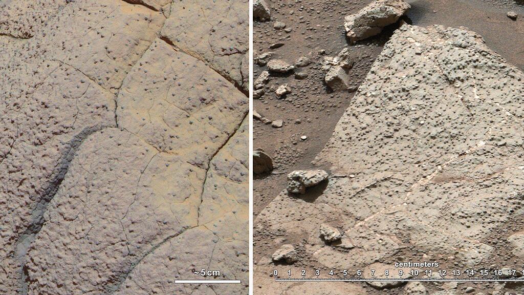 Gesteinanalyse von Rover "Curiosity" brachte "unglaubliche" Entdeckung.