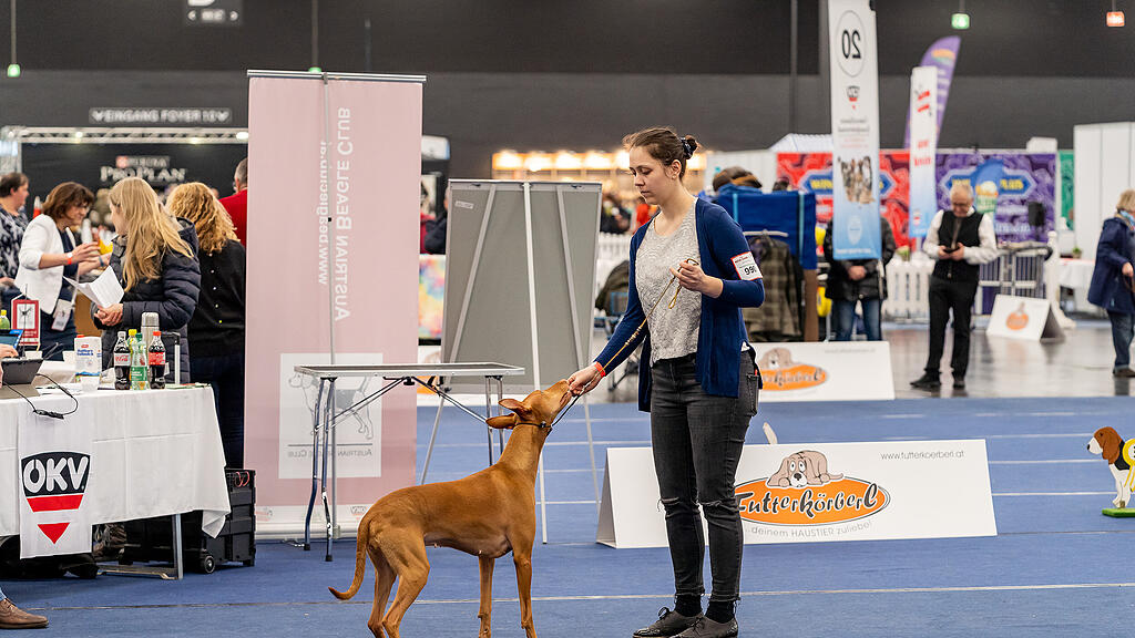 Internationale Hundeausstellung Salzburg 2022
