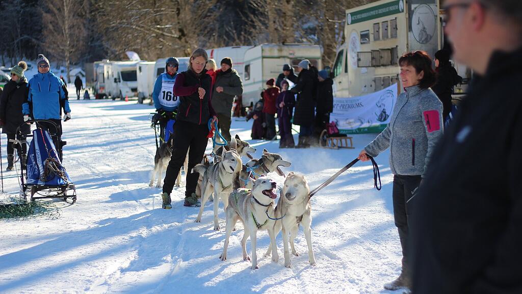 26. Schlittenhunderennen