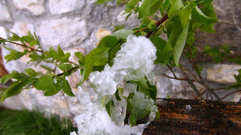 Schnee in Mühlbach/Hochkönig
