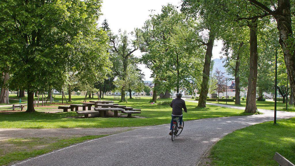 Lehener Park wird zur Schutzzone erklärt