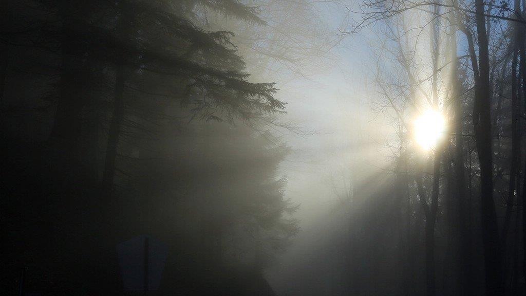 Sonne tanken am Gaisberg