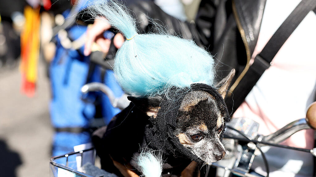 Halloween Parade