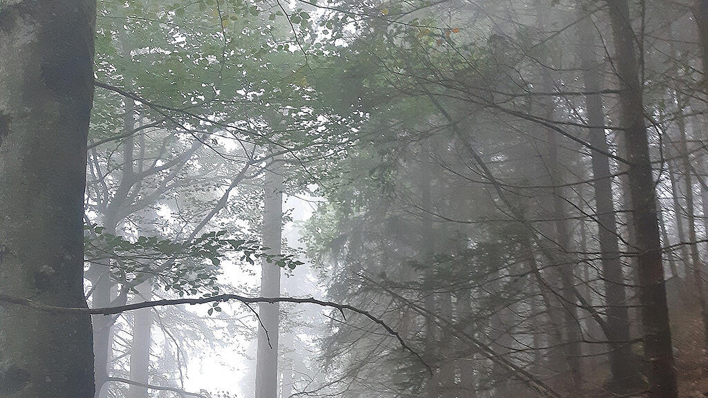 Suche nach Kleinflugzeug in Schneizlreuth