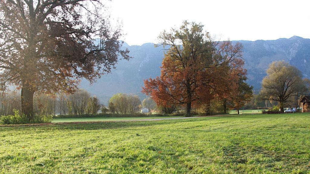 Spaziergang durch den Flachgau