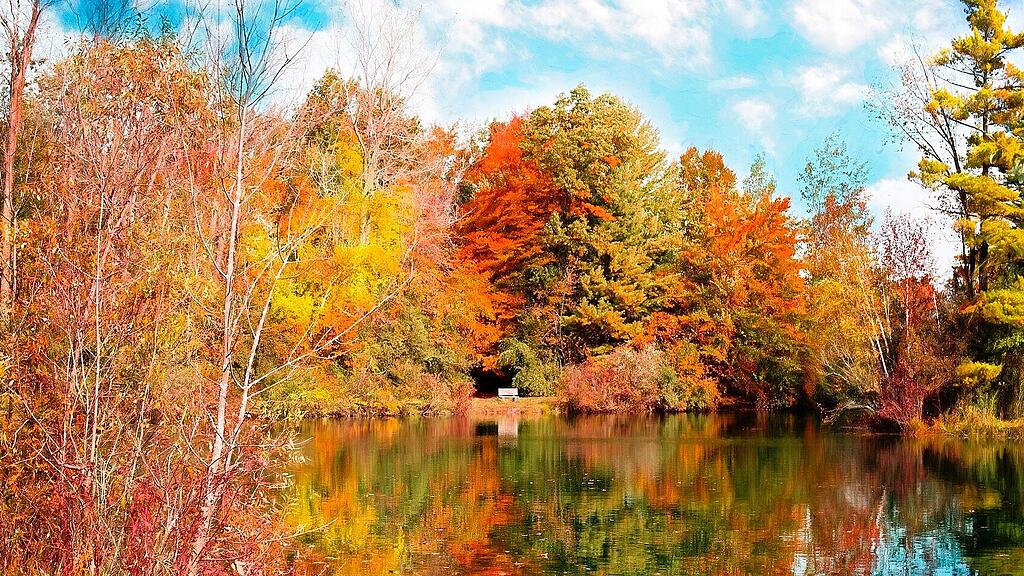 symb_herbst,