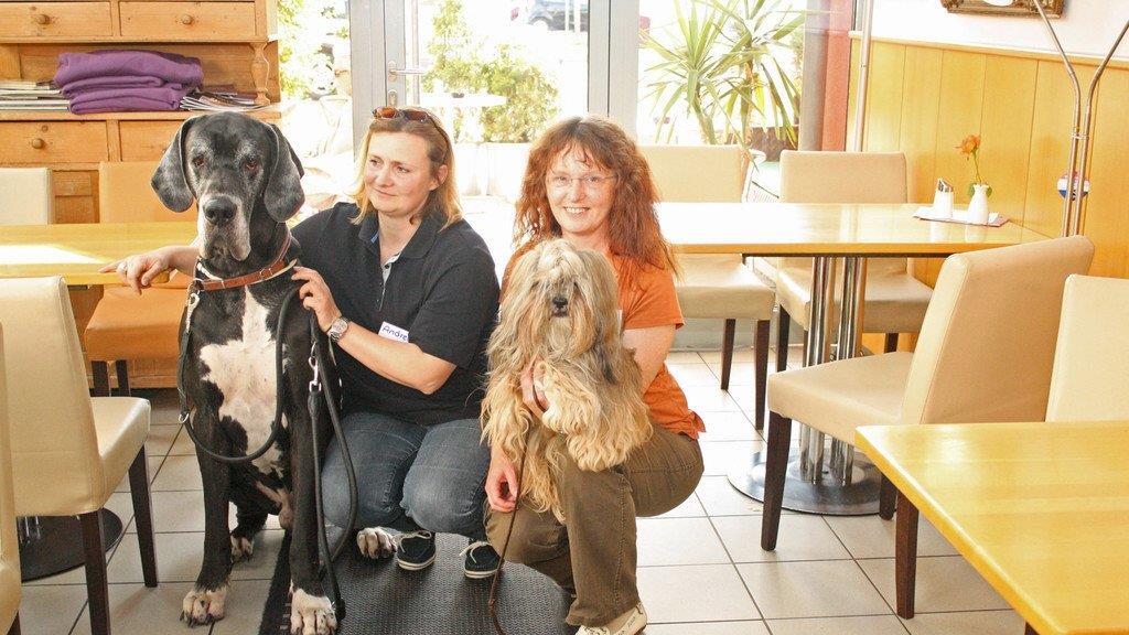 Körpersprache für den Hund: Der Workshop