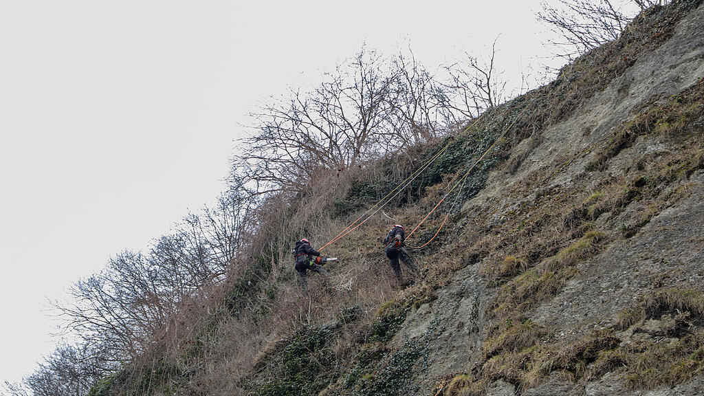 Bergputzer Mönchsberg Mülln
