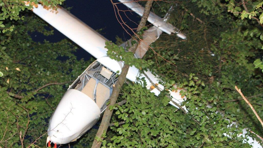 Segelflugzeug in Baumkronen