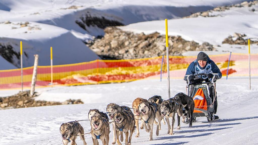 Schlittenhunderennen in Sportgastein