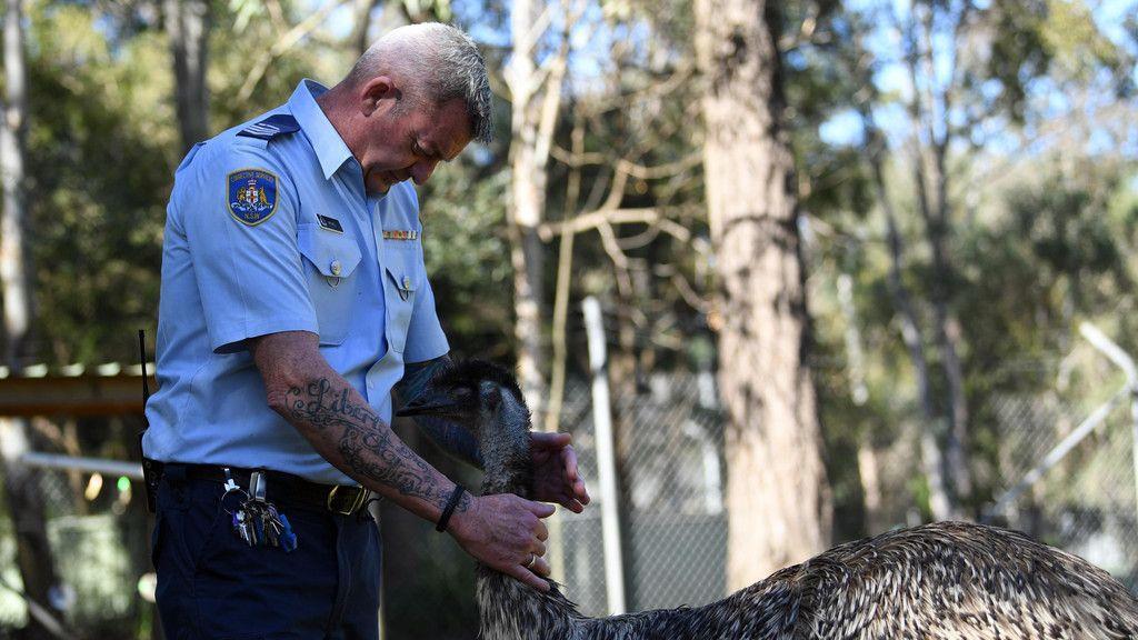 Häftlinge kümmern sich um Tiere