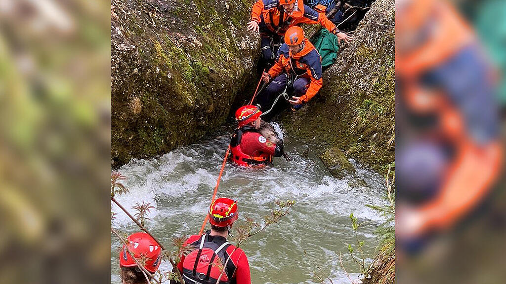Rettung Hund und Frau Glasenbachklamm