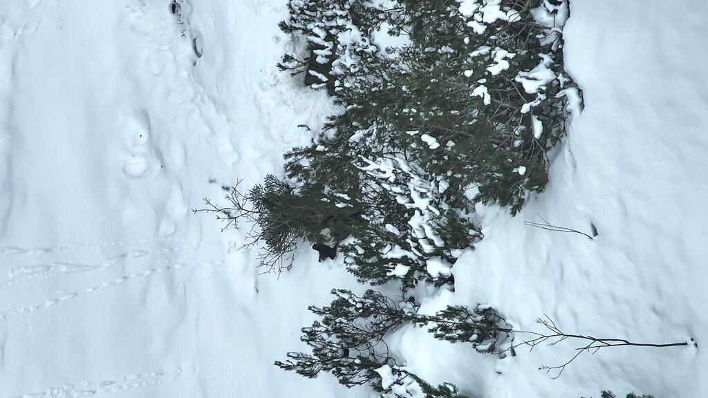 DJI_20240102132729_0017_Z.JPG