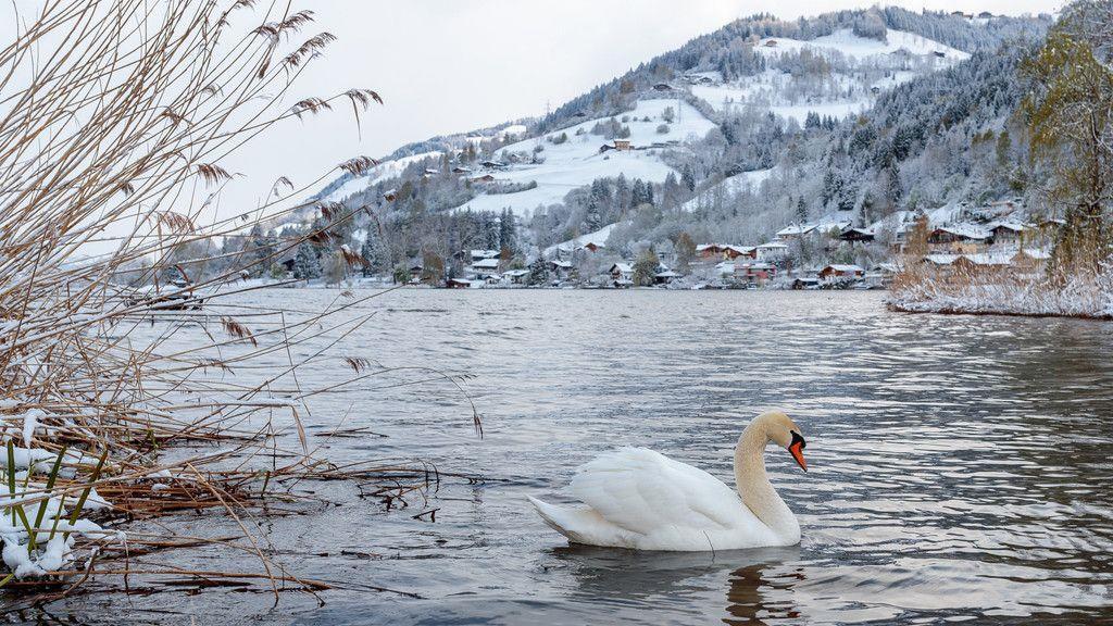 Winterliche Bilder aus Zell am See