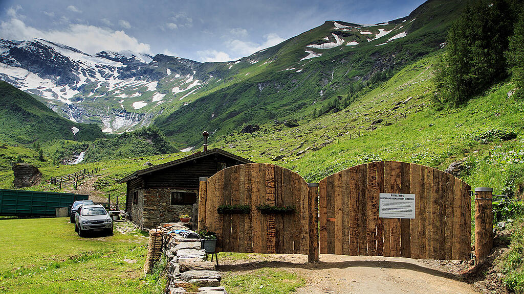 Tiroler Kuh-Urteil: Pinzgauer Bauer riegelt Alm ab